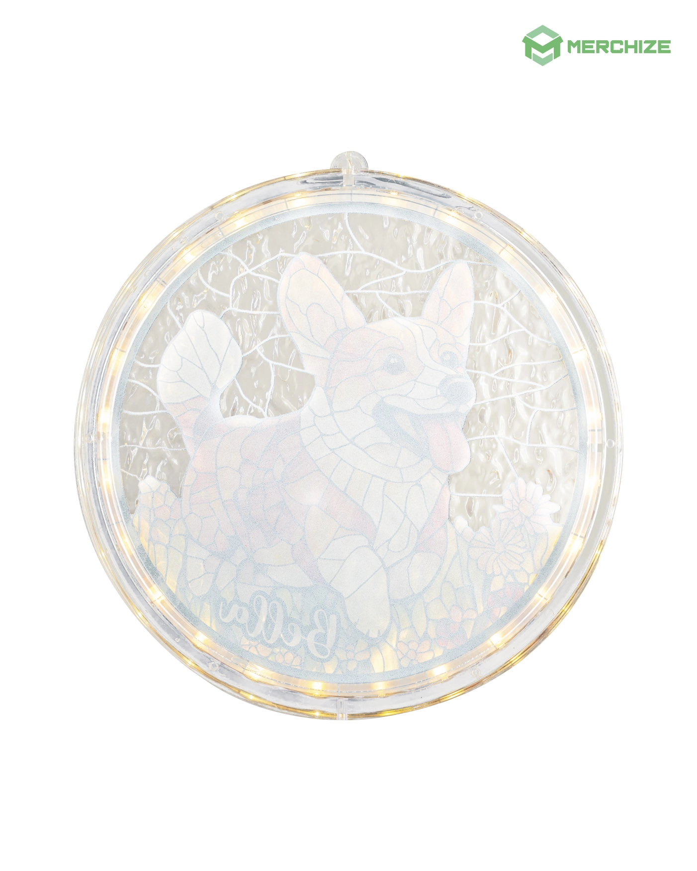 Wavy Acrylic LED Hanging Light Lamp (Circle Frame)