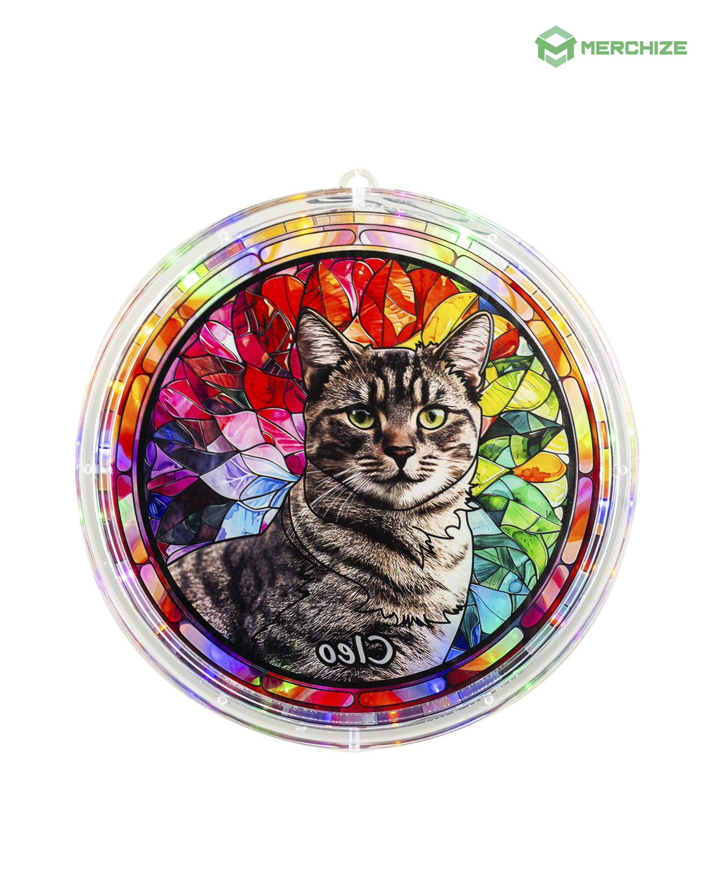 Wavy Acrylic LED Hanging Light Lamp (Circle Frame)