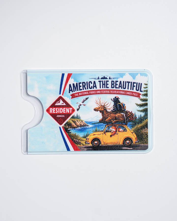 Card Sleeve
