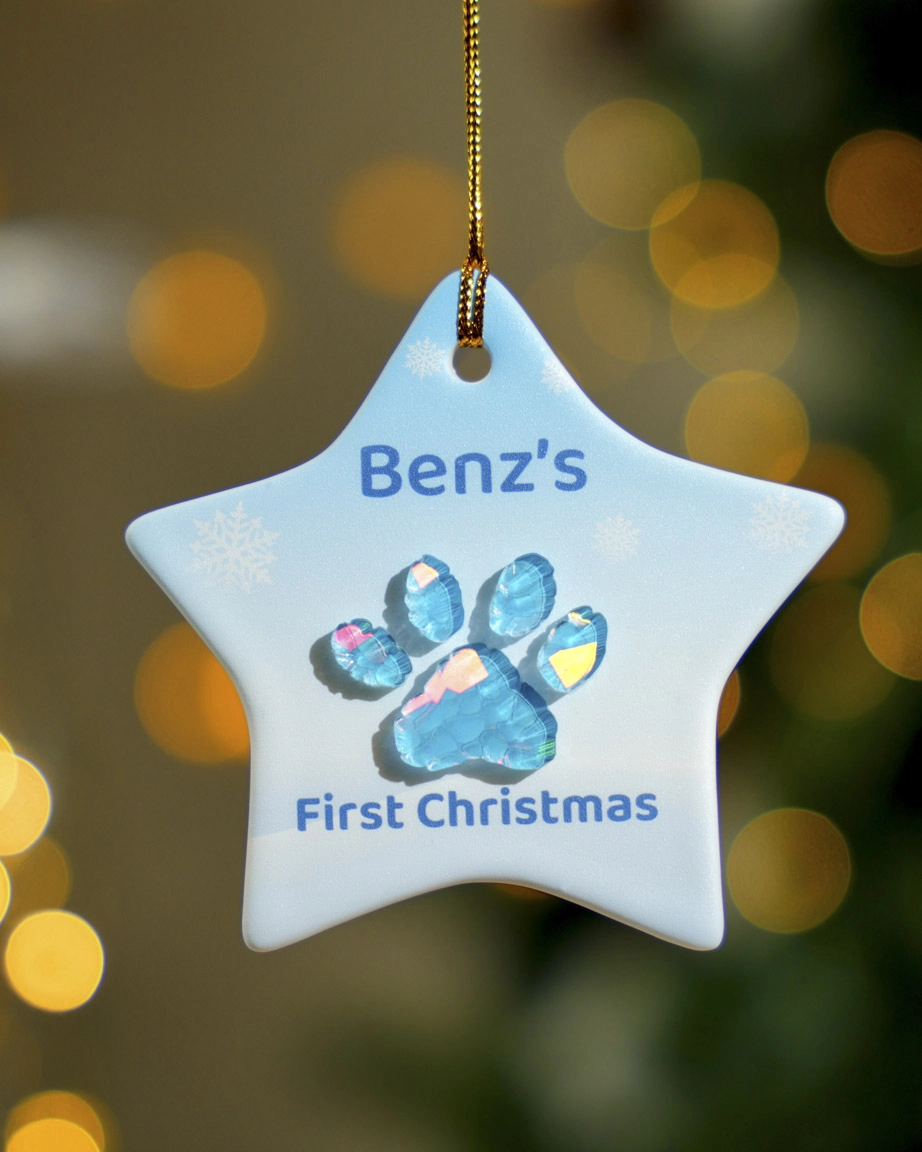 Ceramic and Hologram Ornament