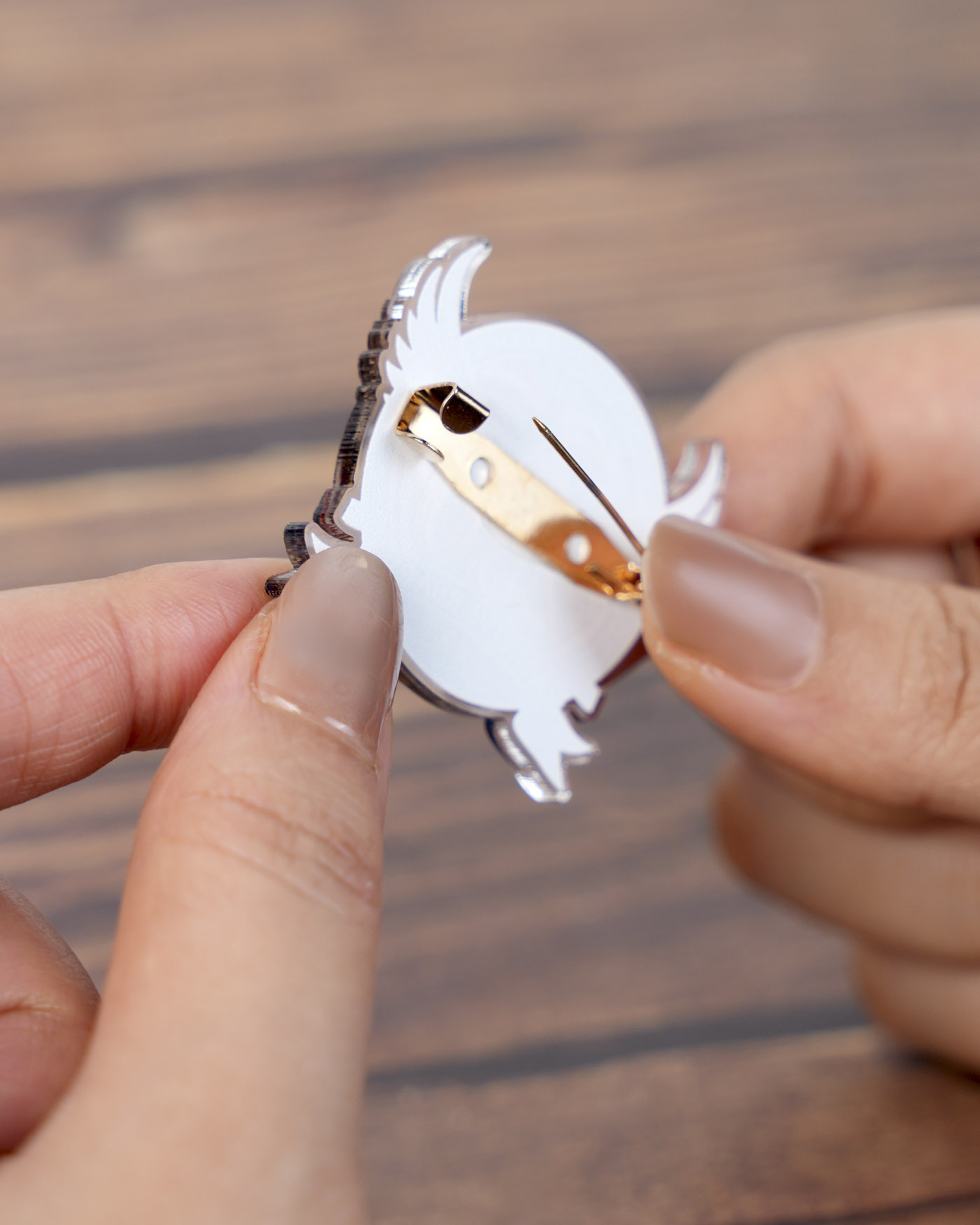 Custom Shape 1-Layer Acrylic Pin