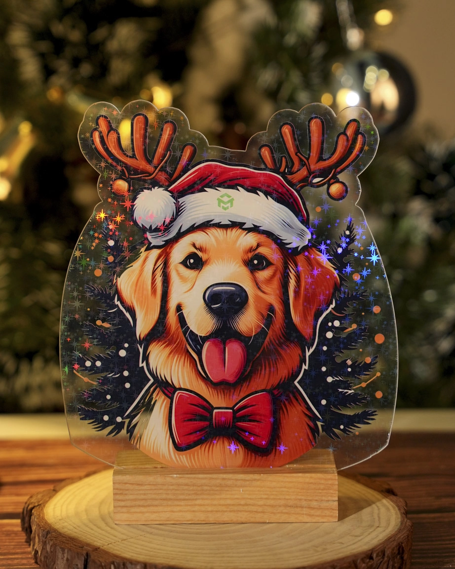 Custom Shape Hologram Plaque