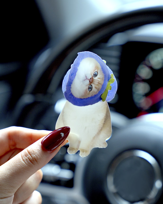 Custom Shape Acrylic Car Clip With Spinning Charm