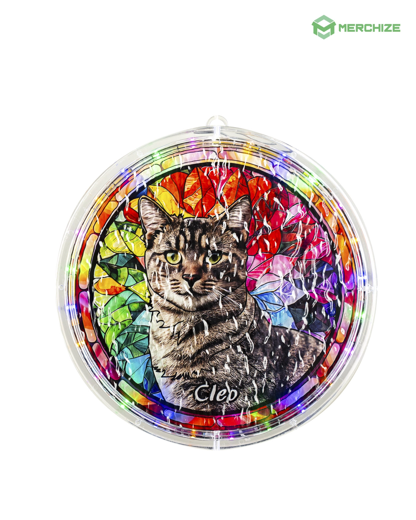 Wavy Acrylic LED Hanging Light Lamp (Circle Frame)
