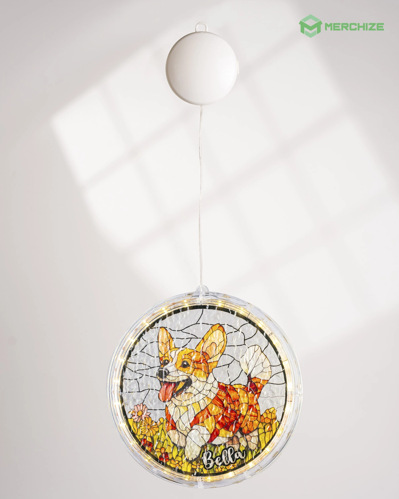 Wavy Acrylic LED Hanging Light Lamp (Circle Frame)