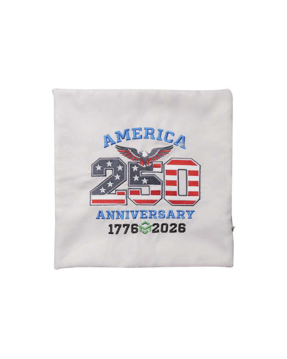 Embroidered Pillow Case