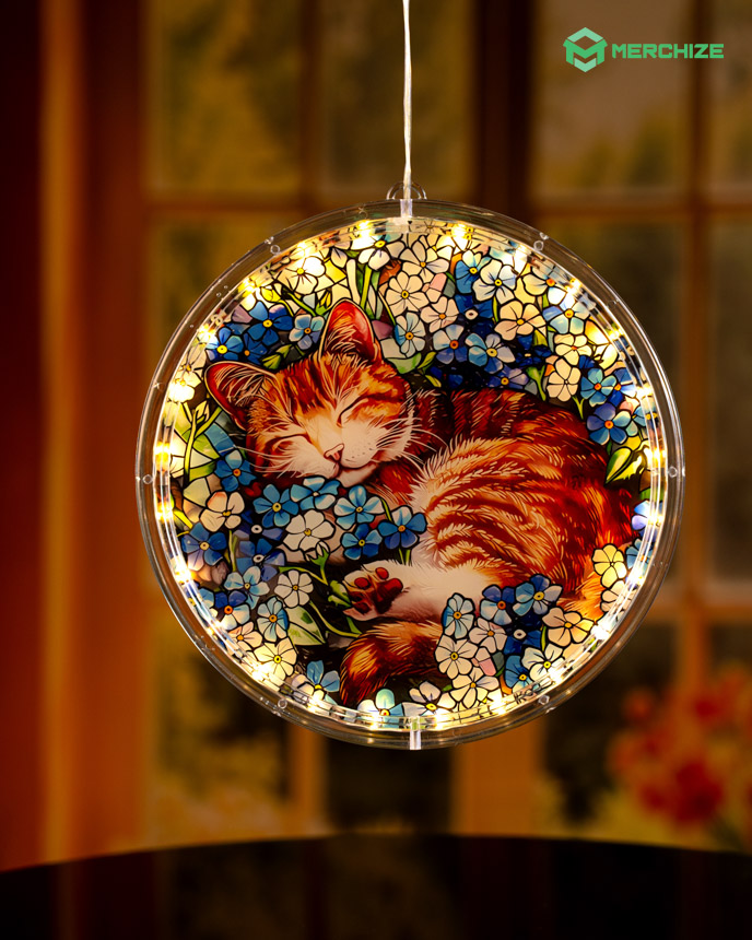 Acrylic LED Hanging Light Lamp (Circle Frame)
