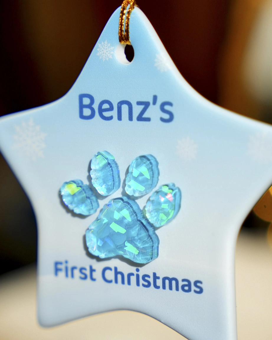 Ceramic and Hologram Ornament