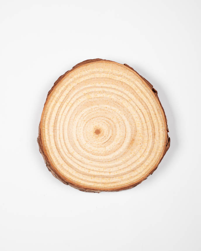 Engraved Wood Slice