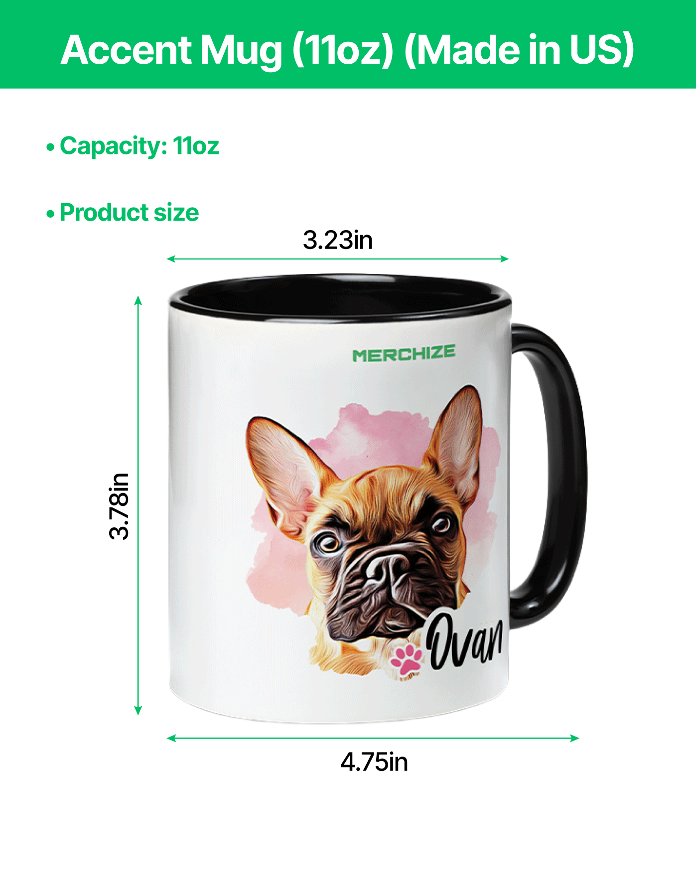Accent Mug (11oz) (Made in US)