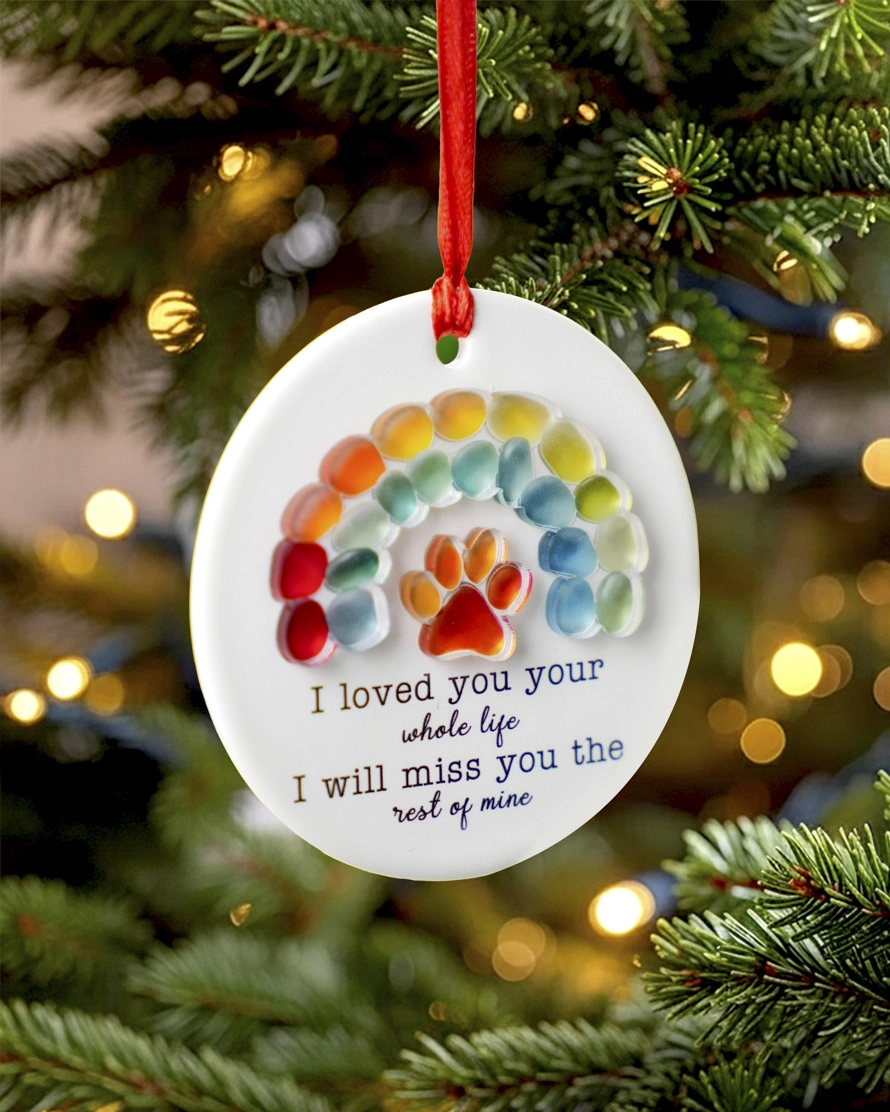 Ceramic and Acrylic Ornament