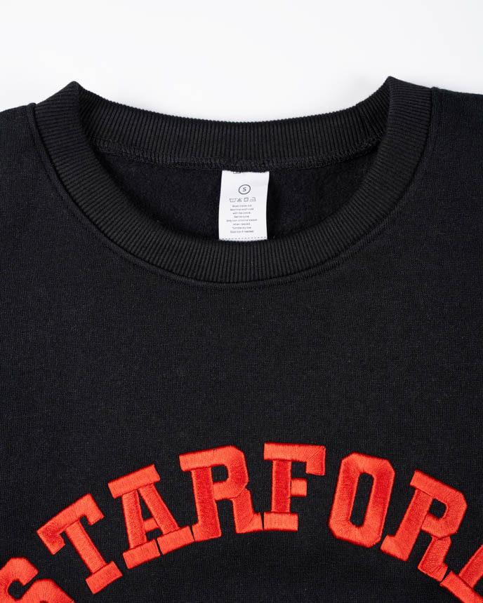 3D Puff Embroidered Lightweight Classic Unisex Sweatshirt 